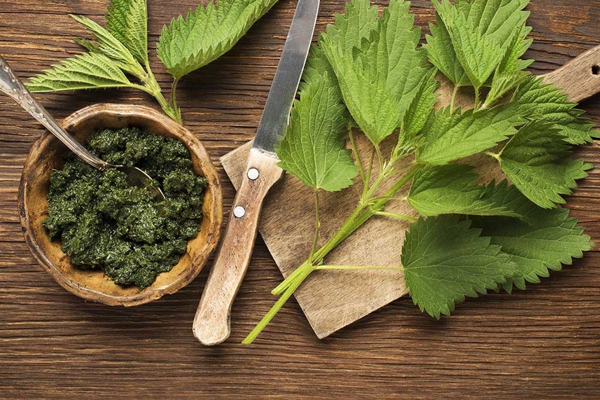 wild_about_food_-_nifty_nettles_image_857x571